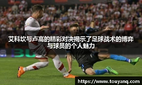 球速体育平台登录入口