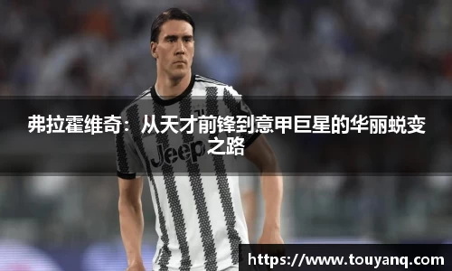 弗拉霍维奇：从天才前锋到意甲巨星的华丽蜕变之路