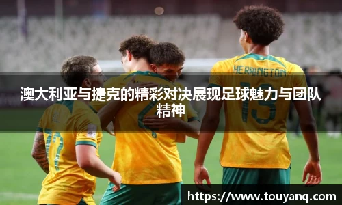球速体育平台登录入口